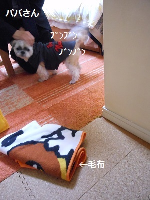 f0372998_23055690.jpg