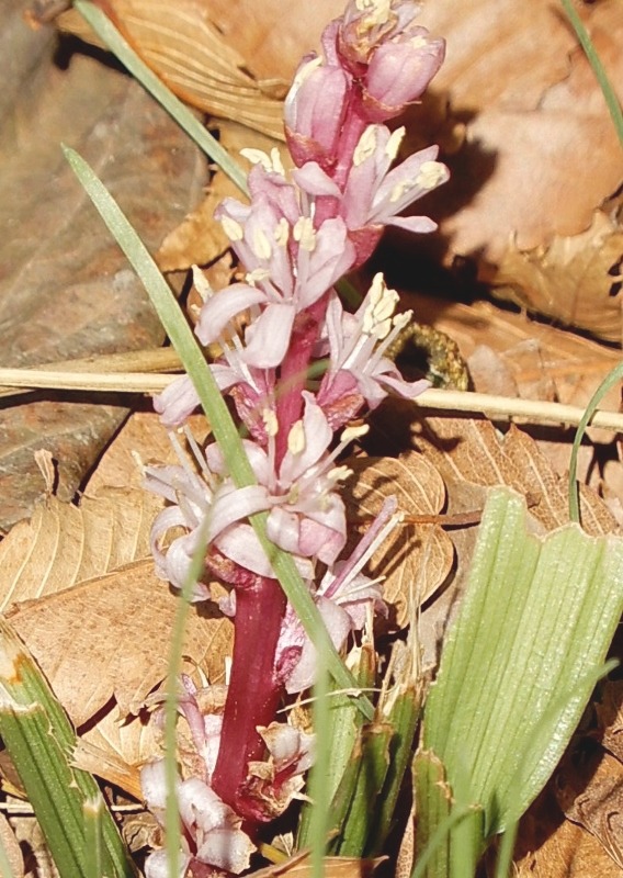 e0025300_21434455.jpg