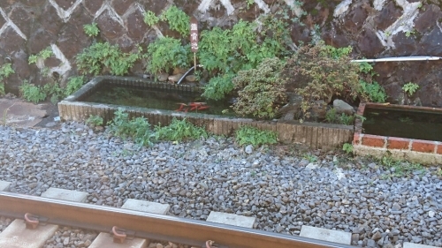 b0298605_10340386.jpg
