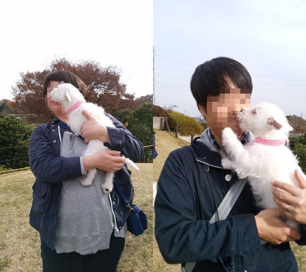 わかば、いっぱいのウエスティちゃんと深大寺でデート♪_f0039907_927245.jpg