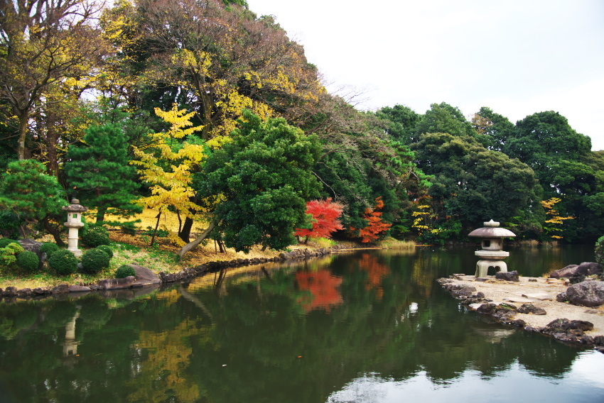 新宿御苑の紅葉1_a0263109_15074095.jpg