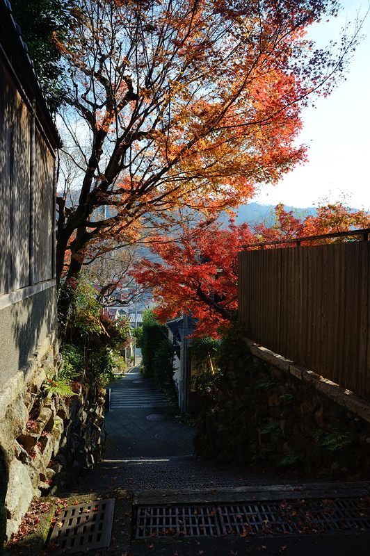 吉田山・神楽岡寸景　其の二_f0032011_18343212.jpg