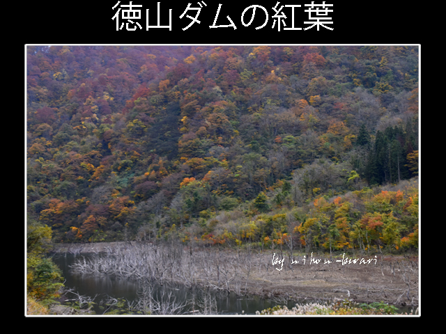  ブログの更新・コメント返しに関して！ 画面左の【お願い】をご一読ください。_e0180612_102921.jpg