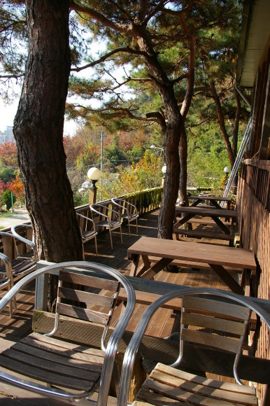f0283431_07022850.jpg
