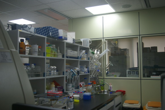 f0283431_23391537.jpg