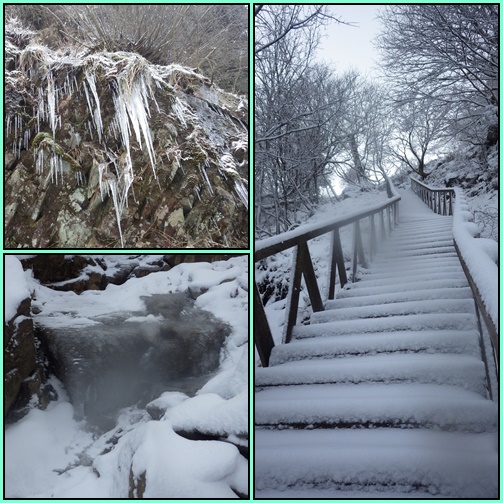 雪だ、英彦山へ～！！_e0164643_22192156.jpg