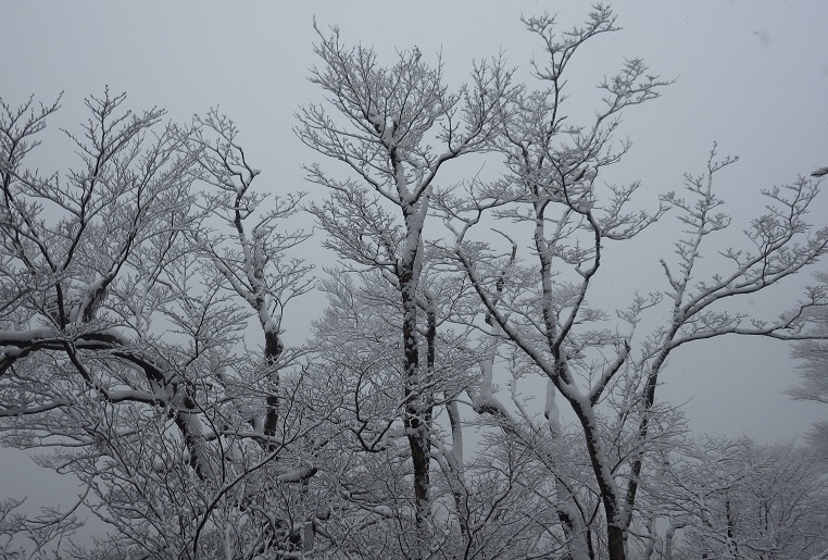 雪だ、英彦山へ～！！_e0164643_22212629.jpg