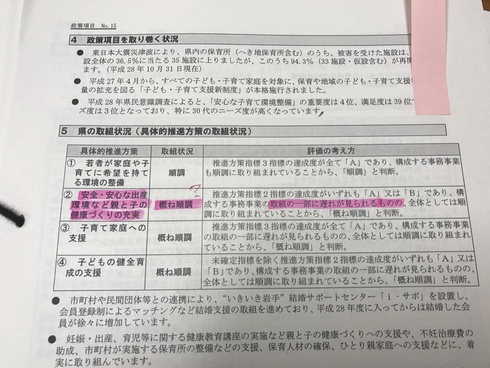 さらなる「産前産後ケア」の充実を訴えてゆく〜妊娠出産包括支援支援事業の県の評価はC〜_b0199244_16205236.jpg