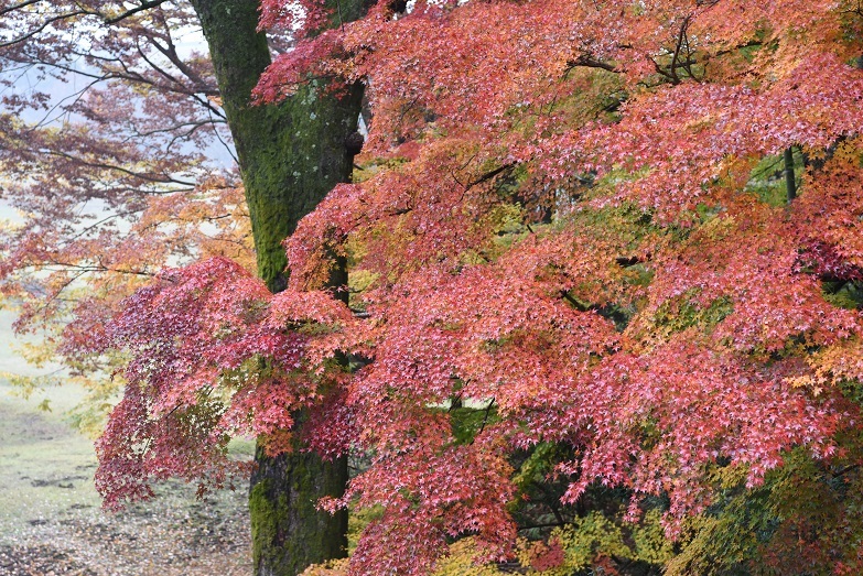 a0237349_07475143.jpg