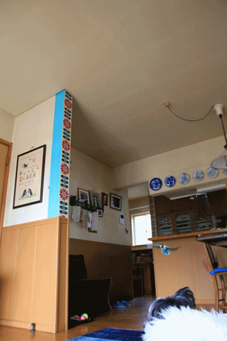 c0145250_11071043.gif