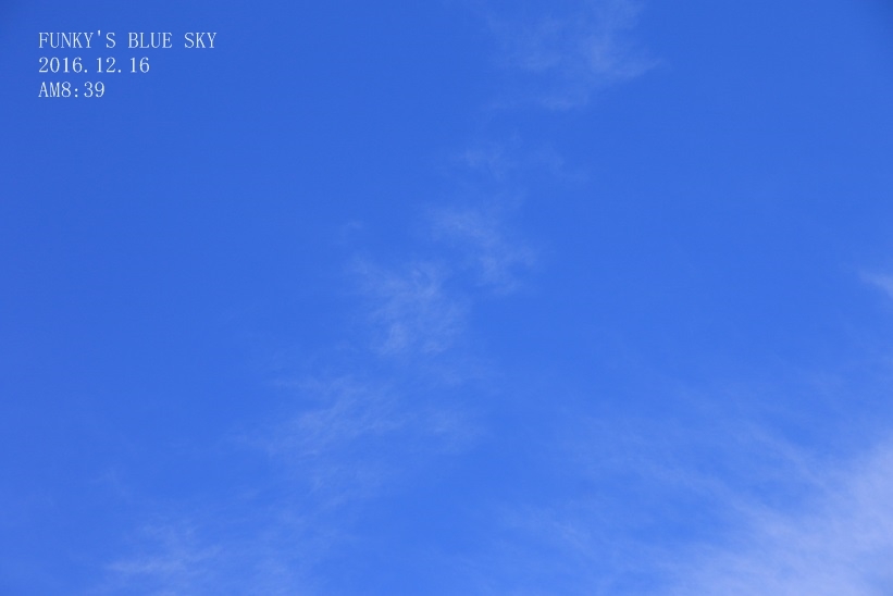 c0145250_11120964.jpg