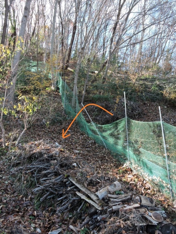 f0043750_12433833.jpg