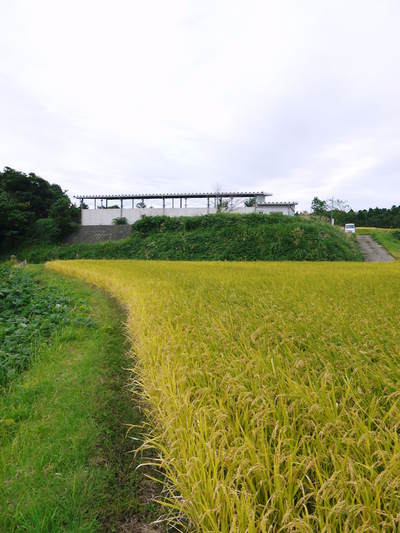 菊池水源里山ニンジン 平成28年度の無農薬・無化学肥料栽培のニンジンの発送をスタートします!_a0254656_18382279.jpg
