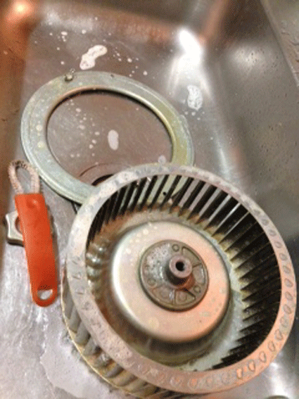 b0129758_1462339.gif