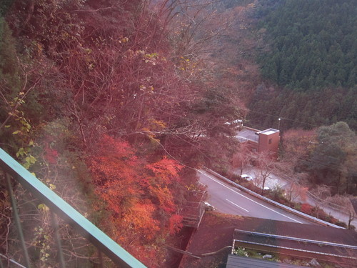 2016 Autumn Trip-2._c0153966_1883459.jpg