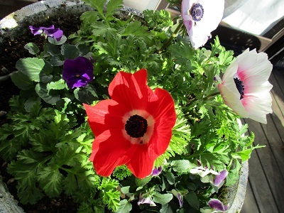 a0053480_03402339.jpg