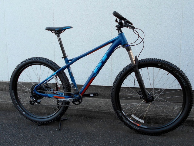 GT/PANTERA ELITE_b0189682_19425211.jpg