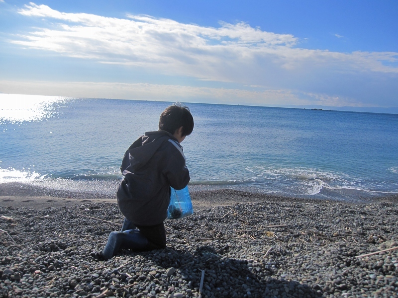 タカラガイに魅せられて【2016年7～12月まとめ】_c0204298_19190730.jpg