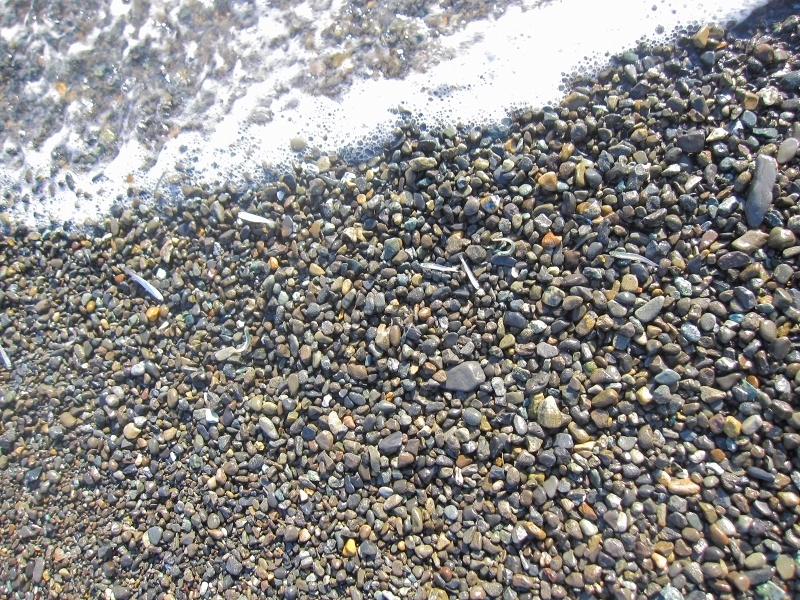 c0204298_20003097.jpg