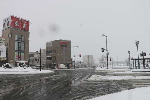 雪道や凍結している道路を安全に歩くには_c0075701_22134677.jpg