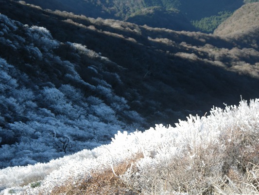f0187402_1824552.jpg