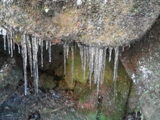 f0187402_182552.jpg