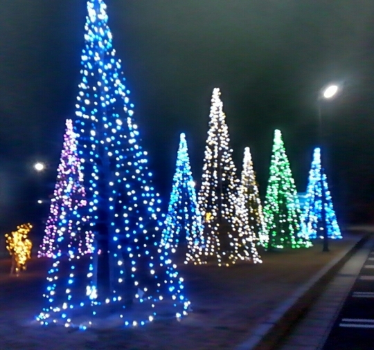d0306603_02404857.jpg