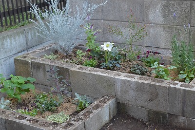 e0128909_795482.jpg