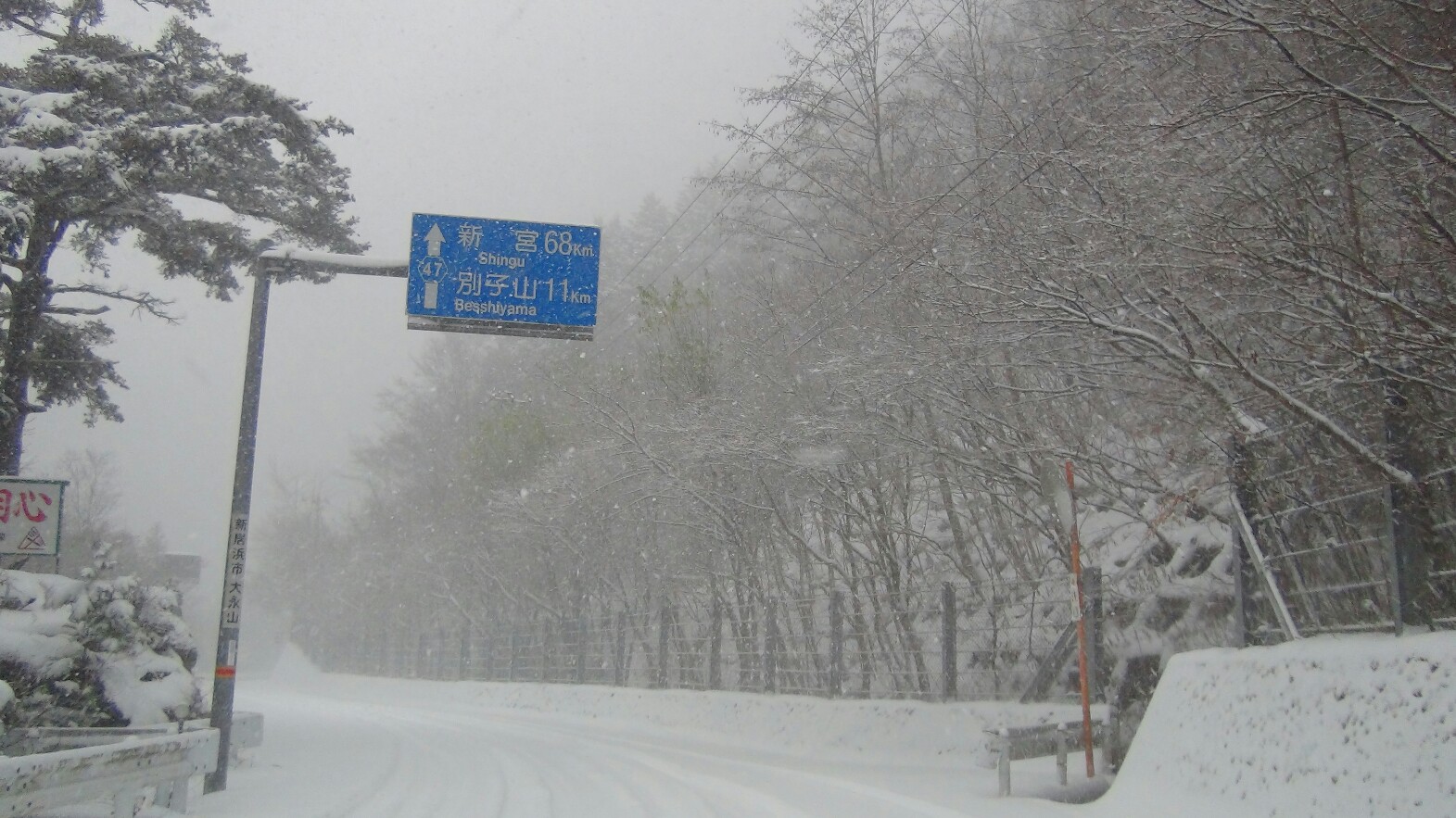 愛媛県四国山地の別子ラインの花や実も雪景色 16 12 16 徳ちゃん便り