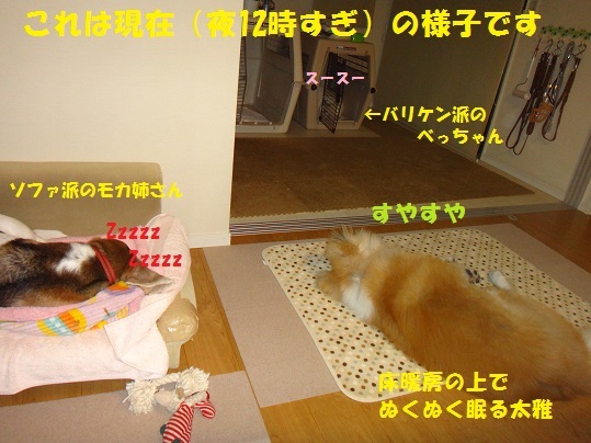 f0121712_00473838.jpg