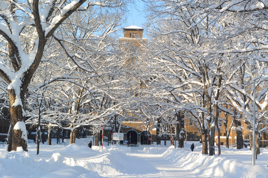 2016年12月 『新雪、雪鳴り』 December 2016 \"Weeping New Snow\"_c0219616_1635308.jpg