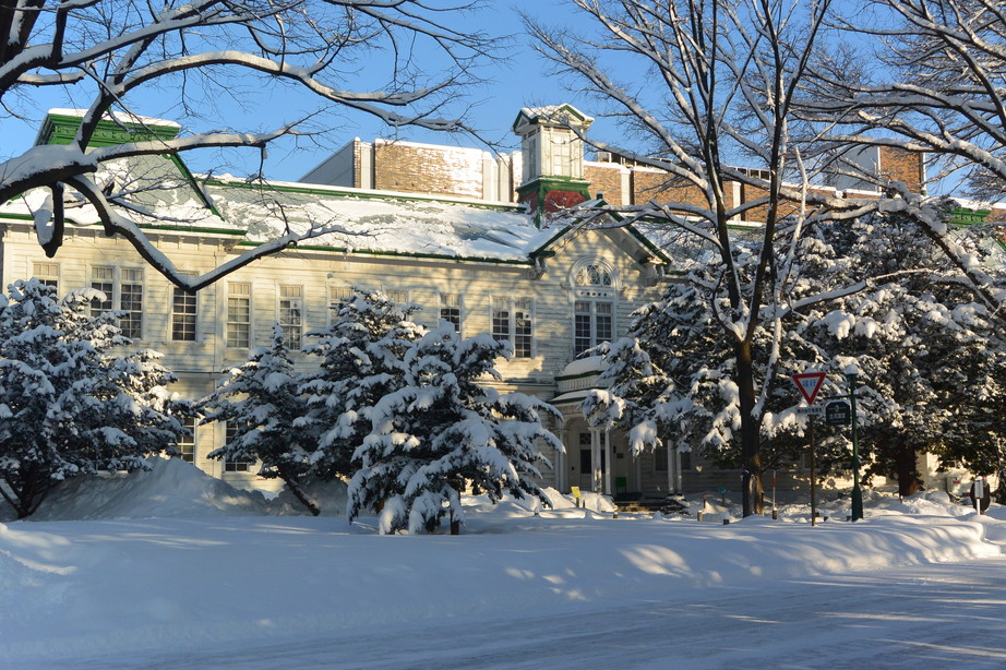 2016年12月 『新雪、雪鳴り』 December 2016 \"Weeping New Snow\"_c0219616_16355650.jpg