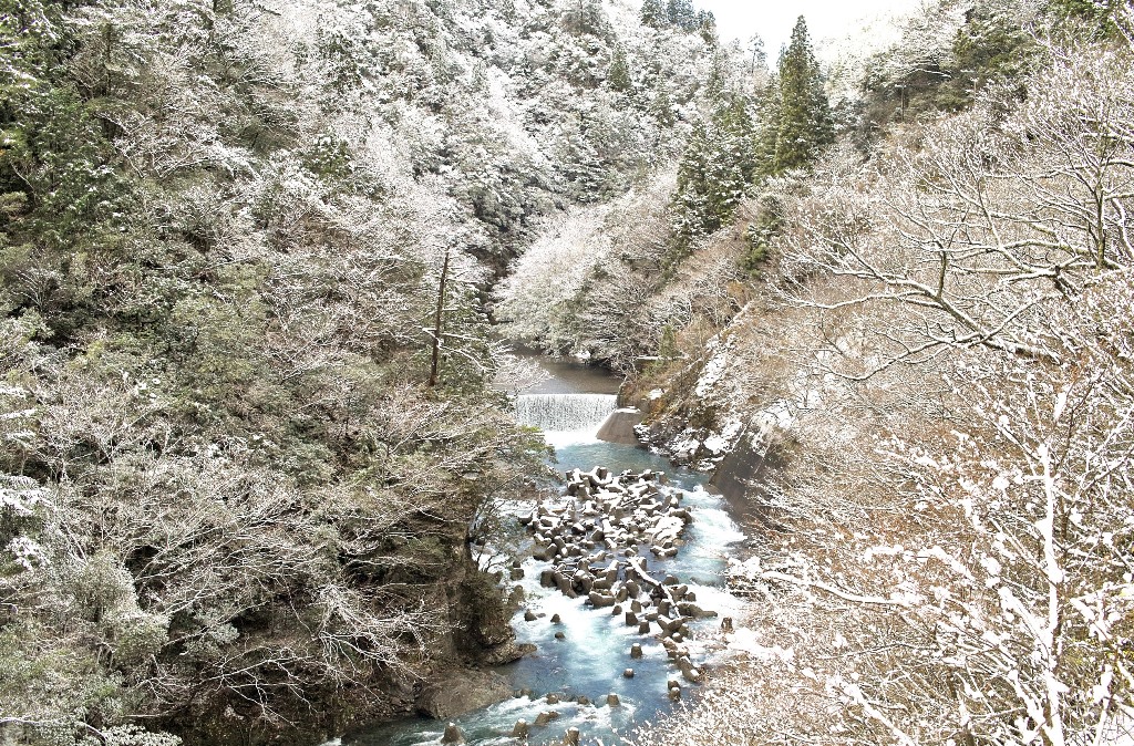 奥山渓谷の雪景色・・・気温1,5℃の朝　　　朽木小川・気象台より_c0044819_7204483.jpg