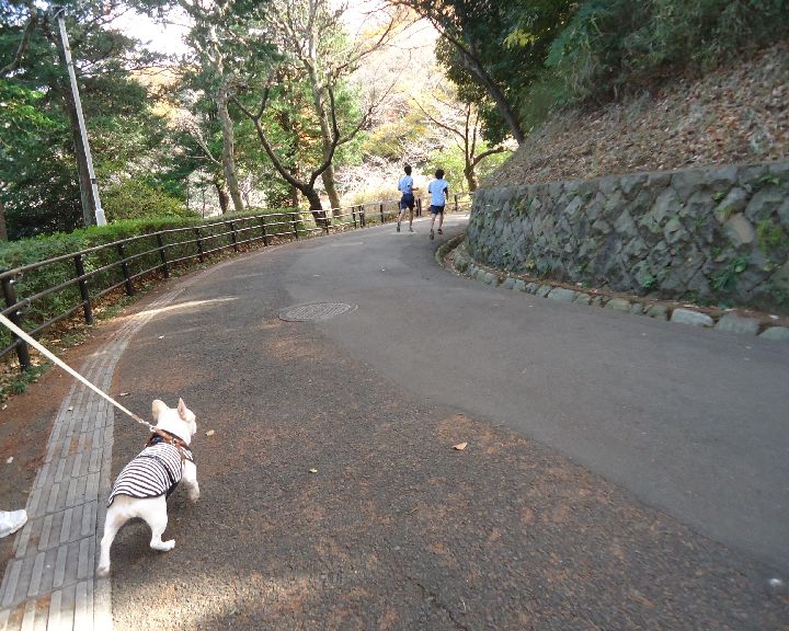 病院　→　公園　→　昼食　→　食料買出し_b0248920_23373325.jpg