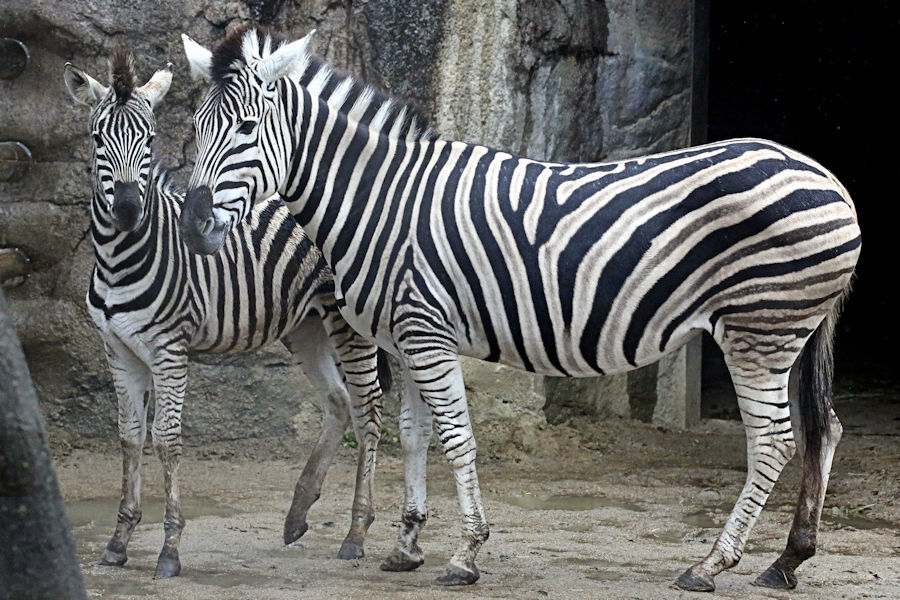 f0224624_14104030.jpg