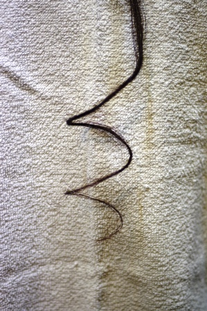 c0109726_1119642.jpg