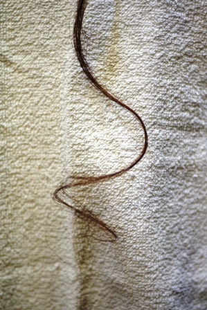 c0109726_11241168.jpg