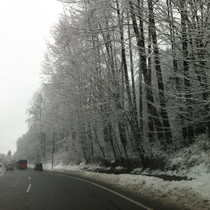 b0221428_1427132.jpg