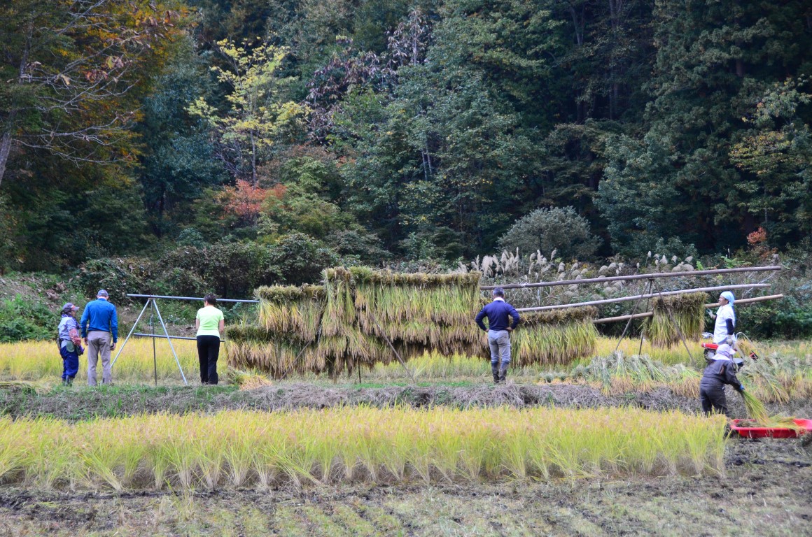 Shinetsu Trail Tour 2016 Oct 13 to Oct 23 [Part 3]_d0112928_714269.jpg