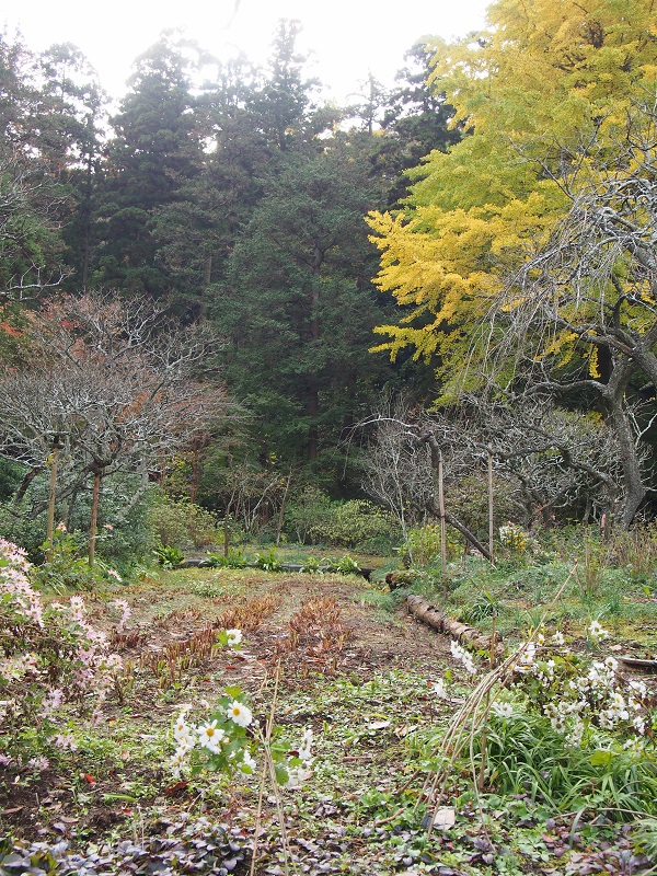 b0368629_8311564.jpg