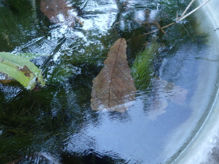 c0353632_15294219.jpg
