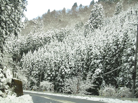 この冬初めての雪あそび_b0177436_11421167.jpg