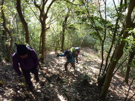 黒岩尾根ー摩耶山ー旧摩耶道_c0218841_20375821.jpg