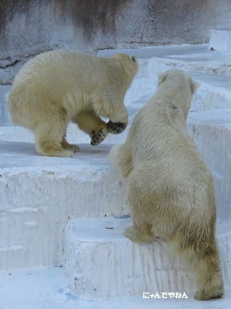 f0002743_1610028.jpg