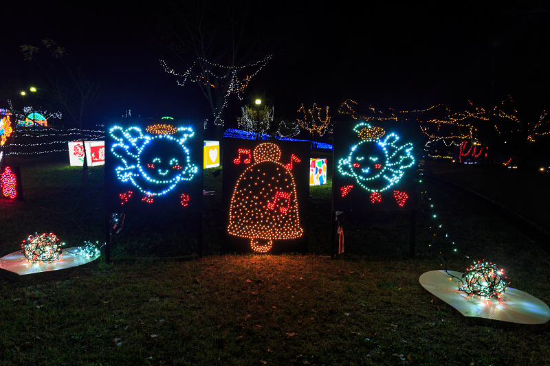 光のページェント～TWINKLE JOYO 2016～（写真部門）_f0155048_2342937.jpg