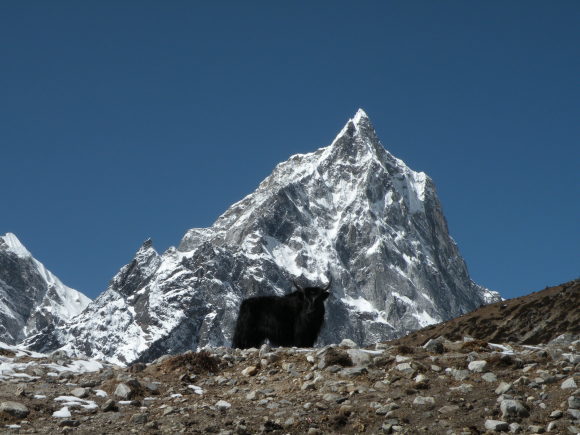 e0341849_11251750.jpg