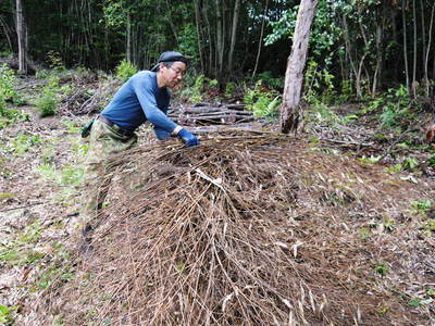原木しいたけ 大変お待たせしました!原木生しいたけを12月23日(金)分より再受注します!_a0254656_1758121.jpg