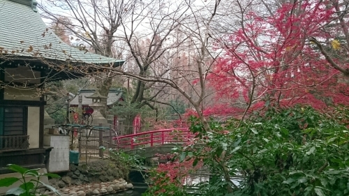 e0212073_09355859.jpg