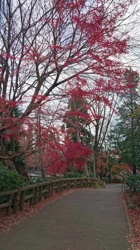 e0212073_09360347.jpg