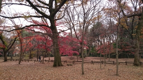 e0212073_09360893.jpg